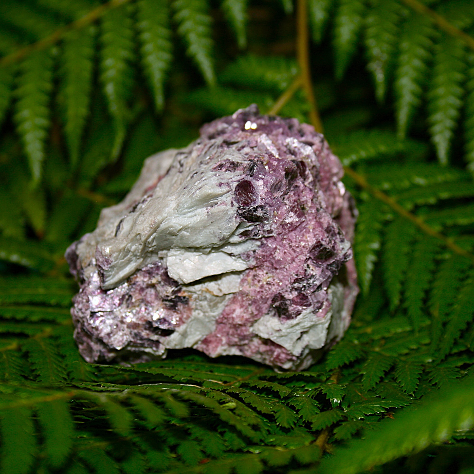 Raw Lepidolite Matrix