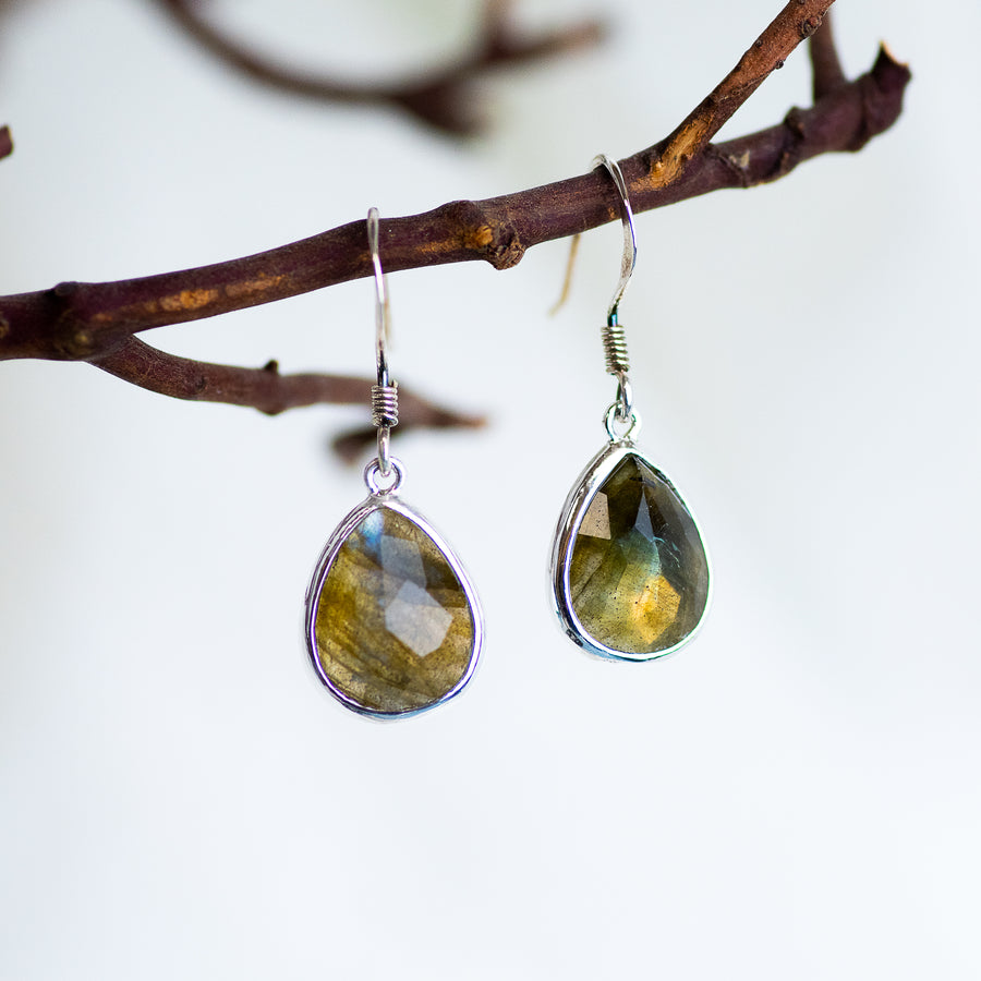 Sterling Silver Faceted Labradorite Earrings