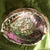 Black Abalone Shell (Intuitively Chosen)