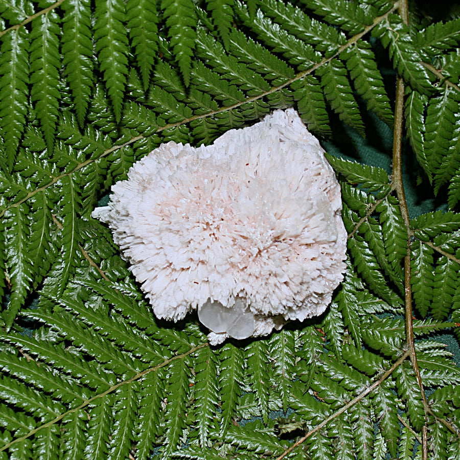 Spiked Scolecite with Green Zeolite