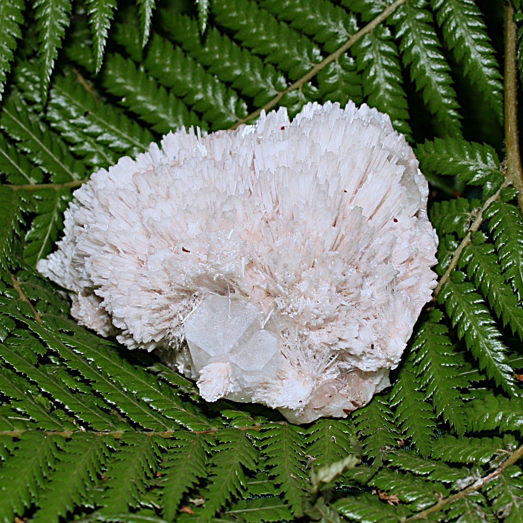 Spiked Scolecite with Green Zeolite