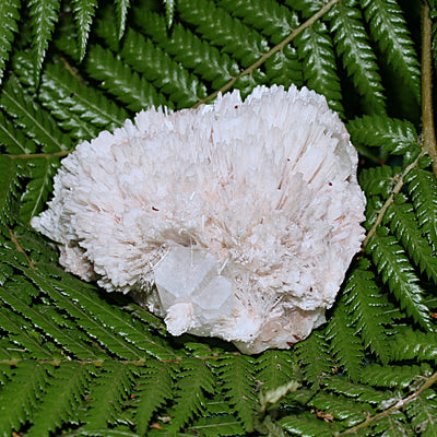 Spiked Scolecite with Green Zeolite