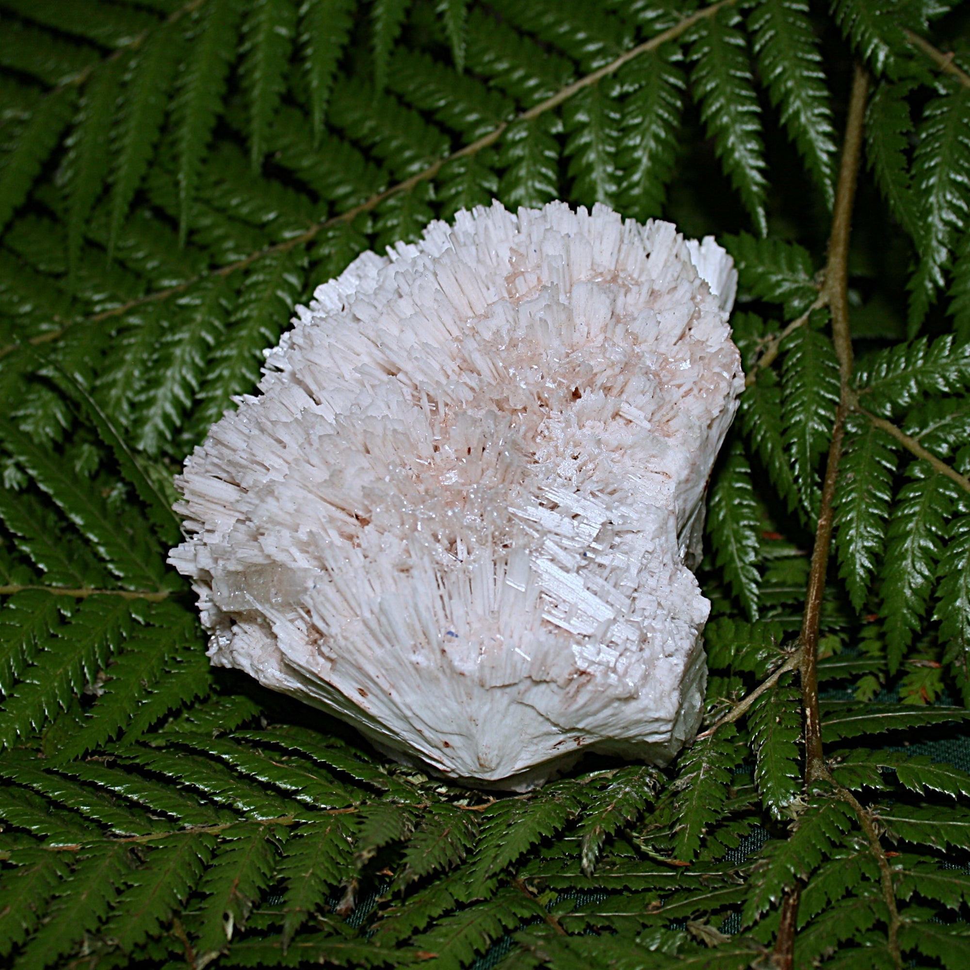 Spiked Scolecite with Green Zeolite