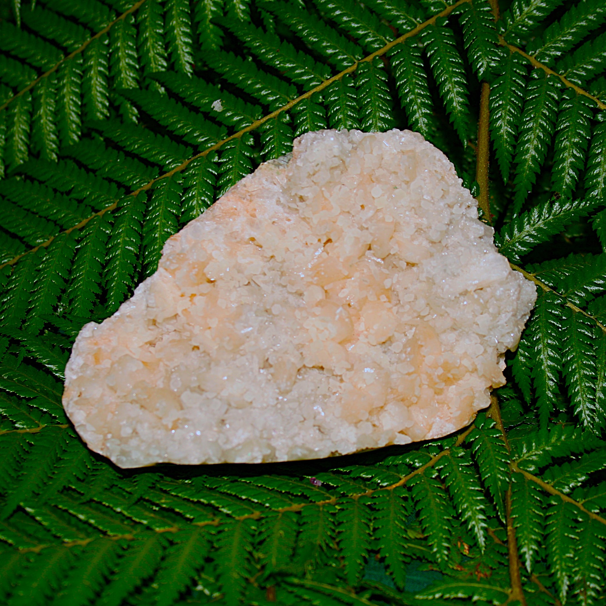 Calcite and Quartz Matrix