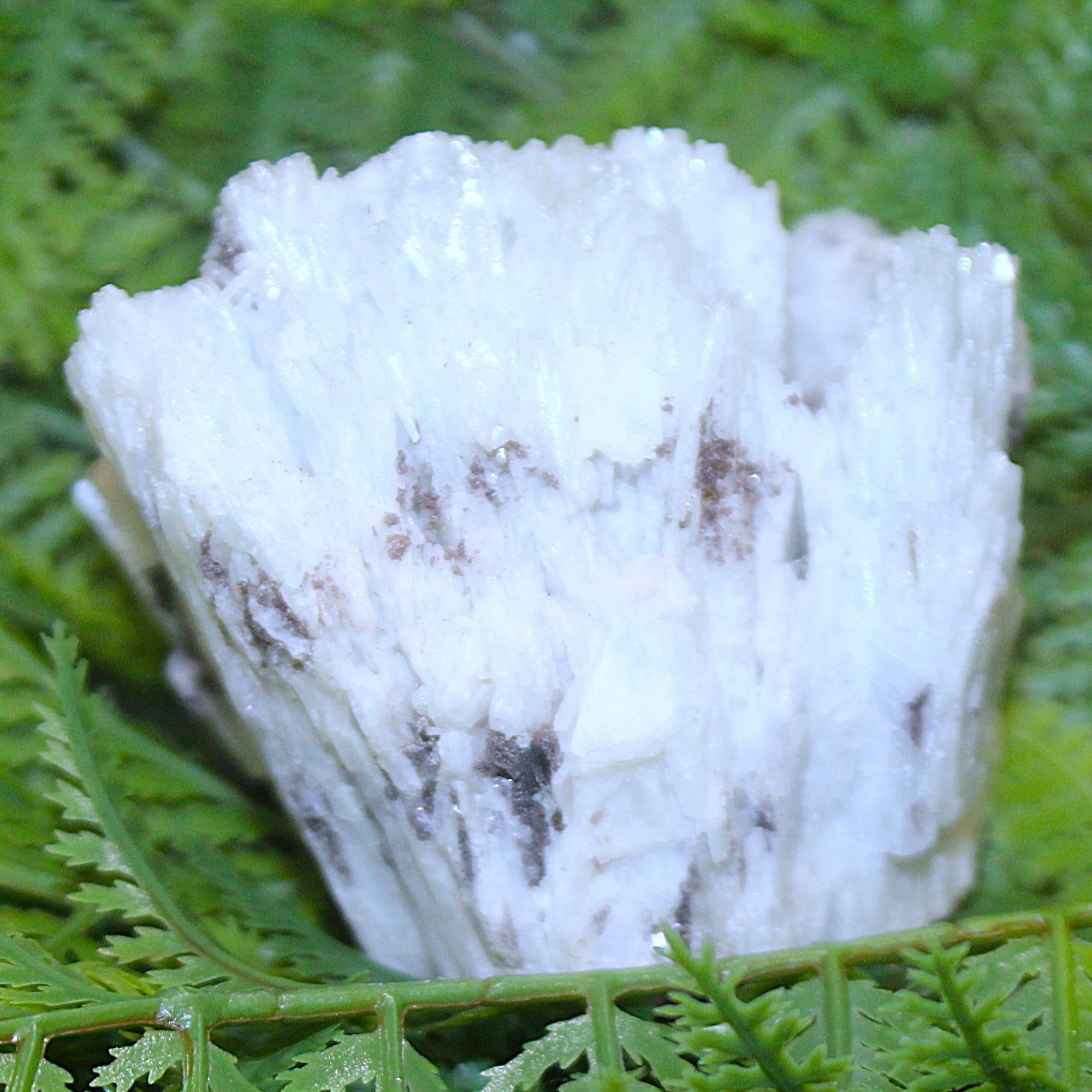 Albite Matrix