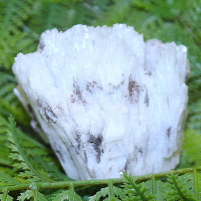 Albite Matrix