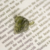 Moldavite Specimen (Multiple Avalible)