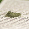 Moldavite Specimen (Multiple Avalible)