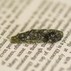 Moldavite Specimen (Multiple Avalible)