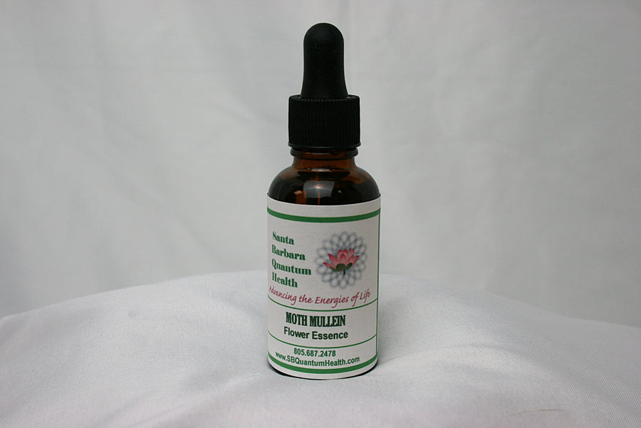 Moth Mullein Flower Essence