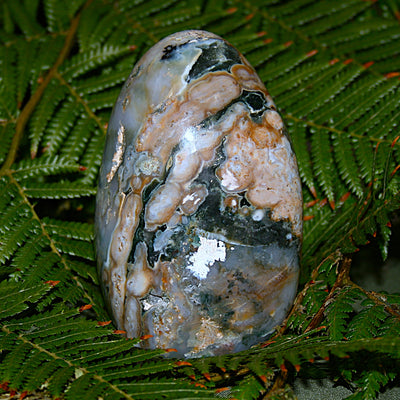 Ocean Jasper Freeform
