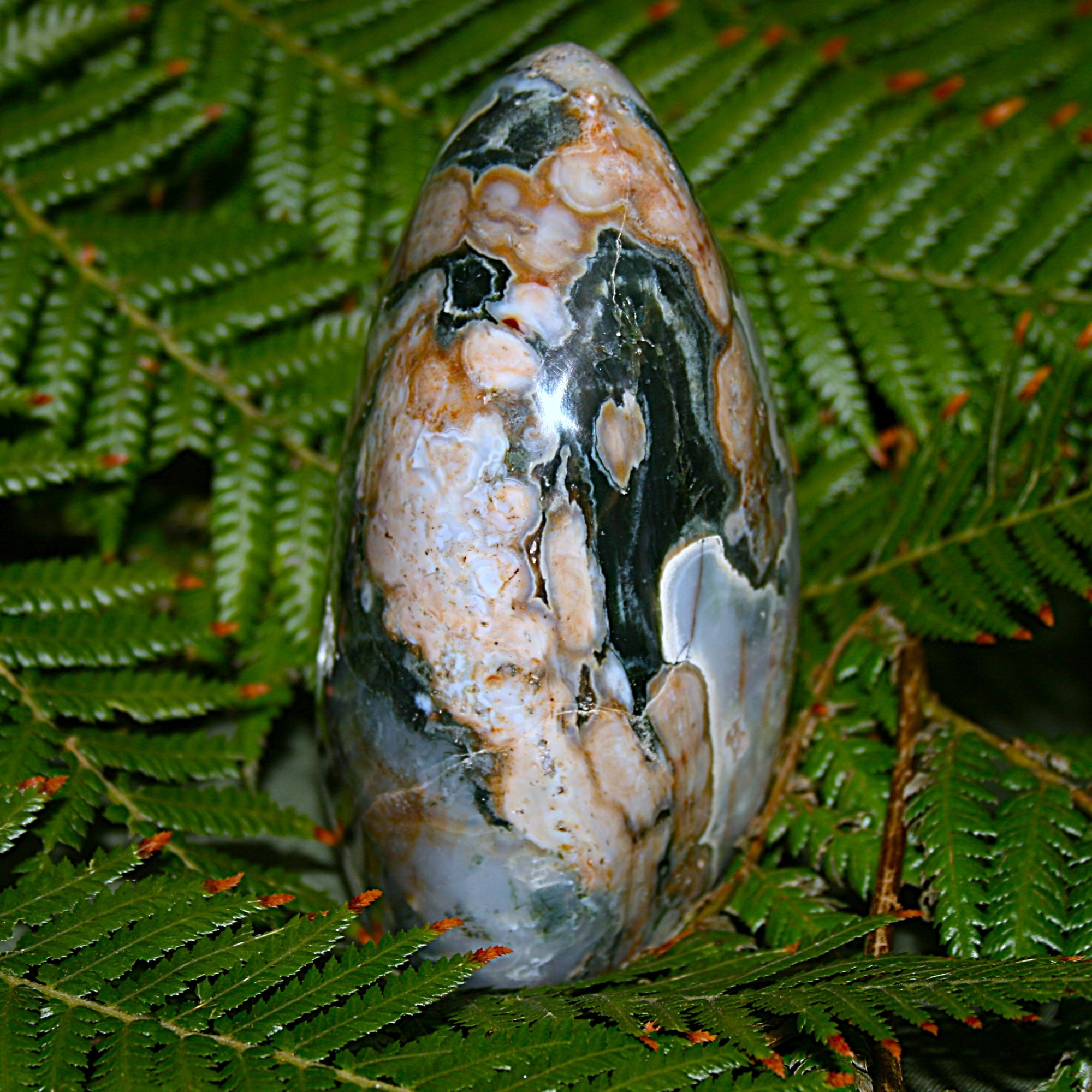 Ocean Jasper Freeform