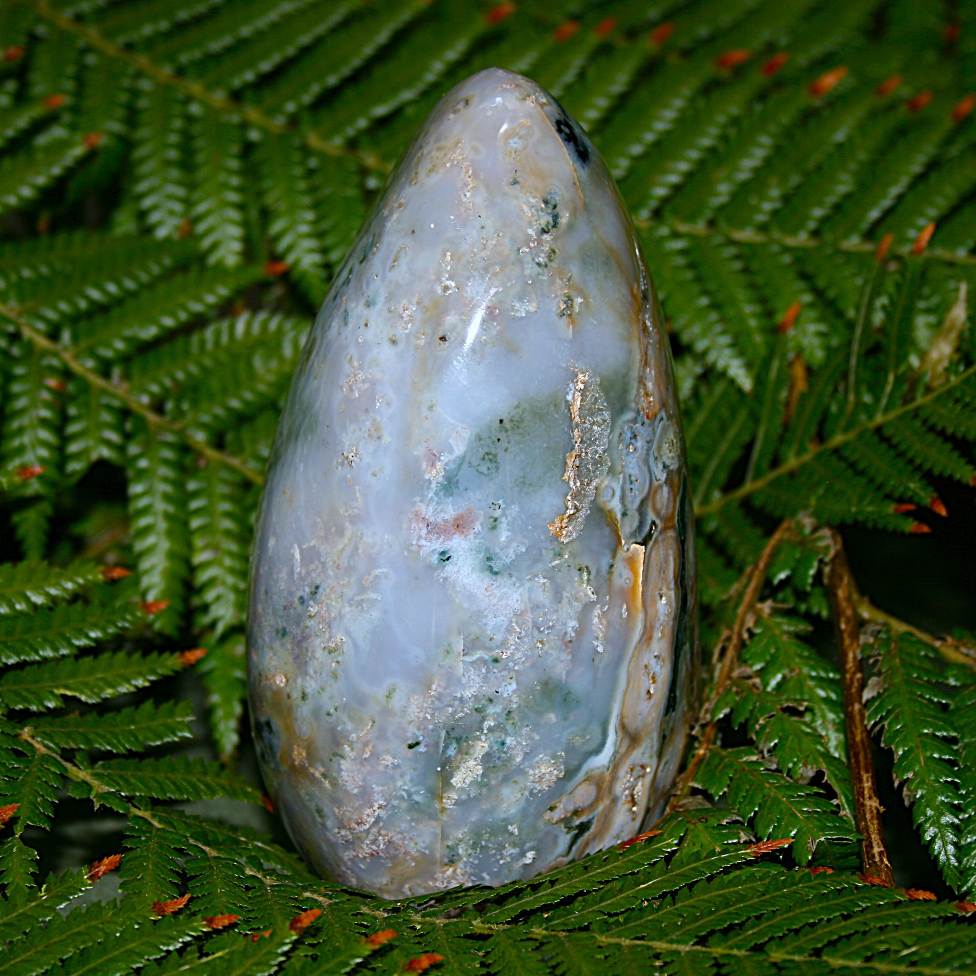 Ocean Jasper Freeform