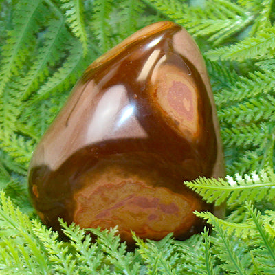 Polychrome Jasper Free Form