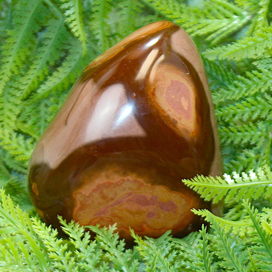Polychrome Jasper Free Form