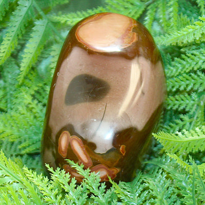 Polychrome Jasper Free Form