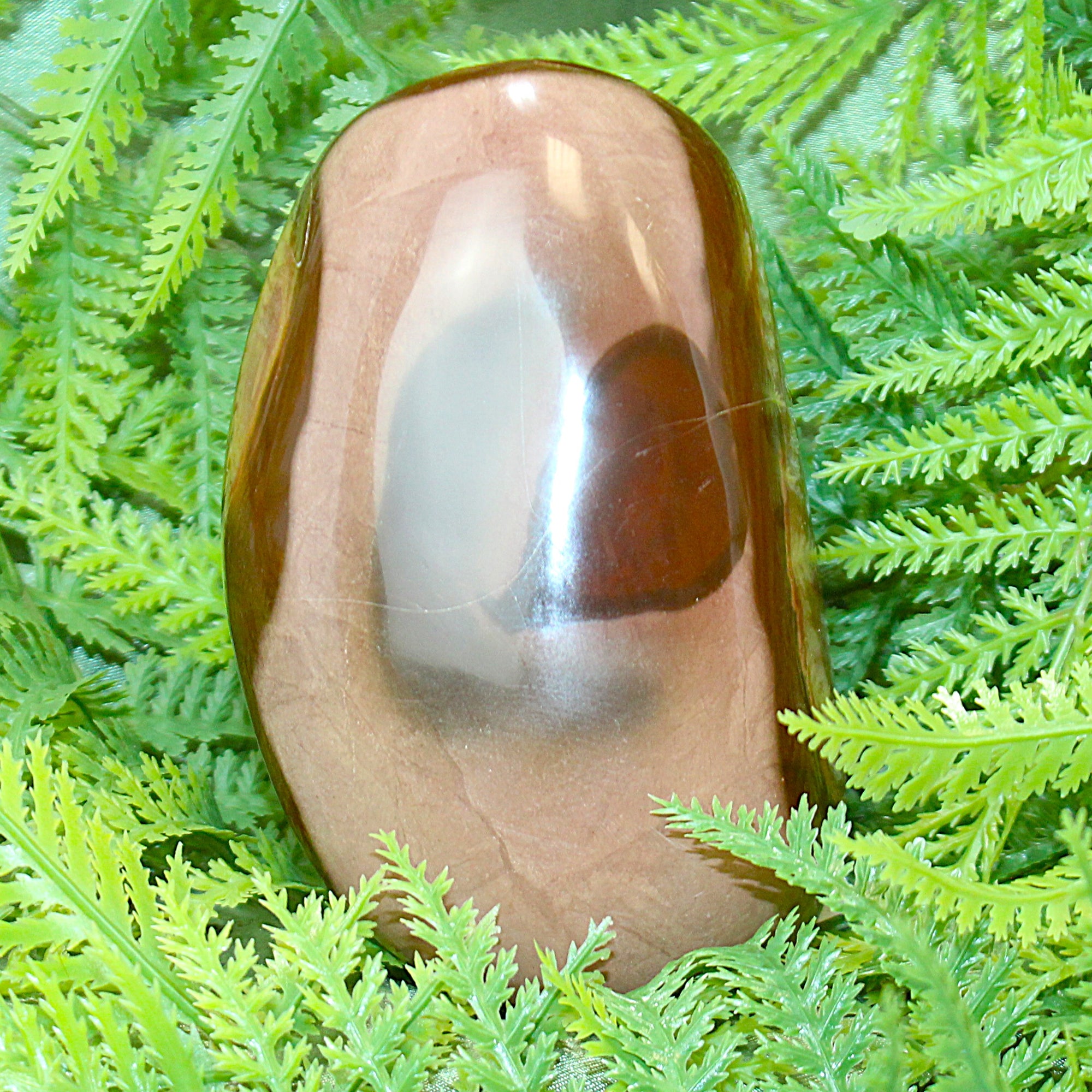 Polychrome Jasper Free Form