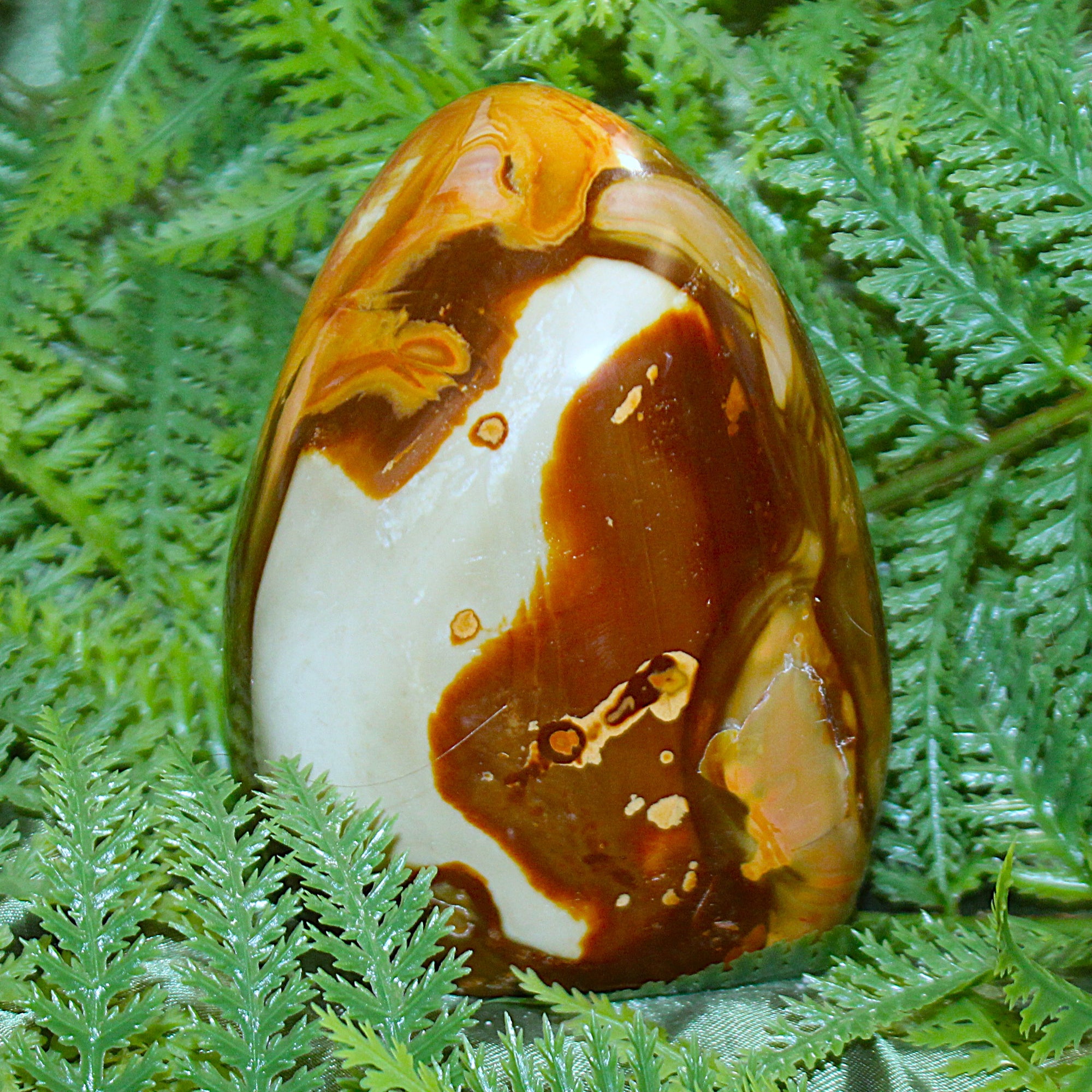 Polychrome Jasper Free Form