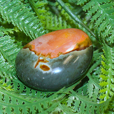 Polychrome Jasper Palm Stone