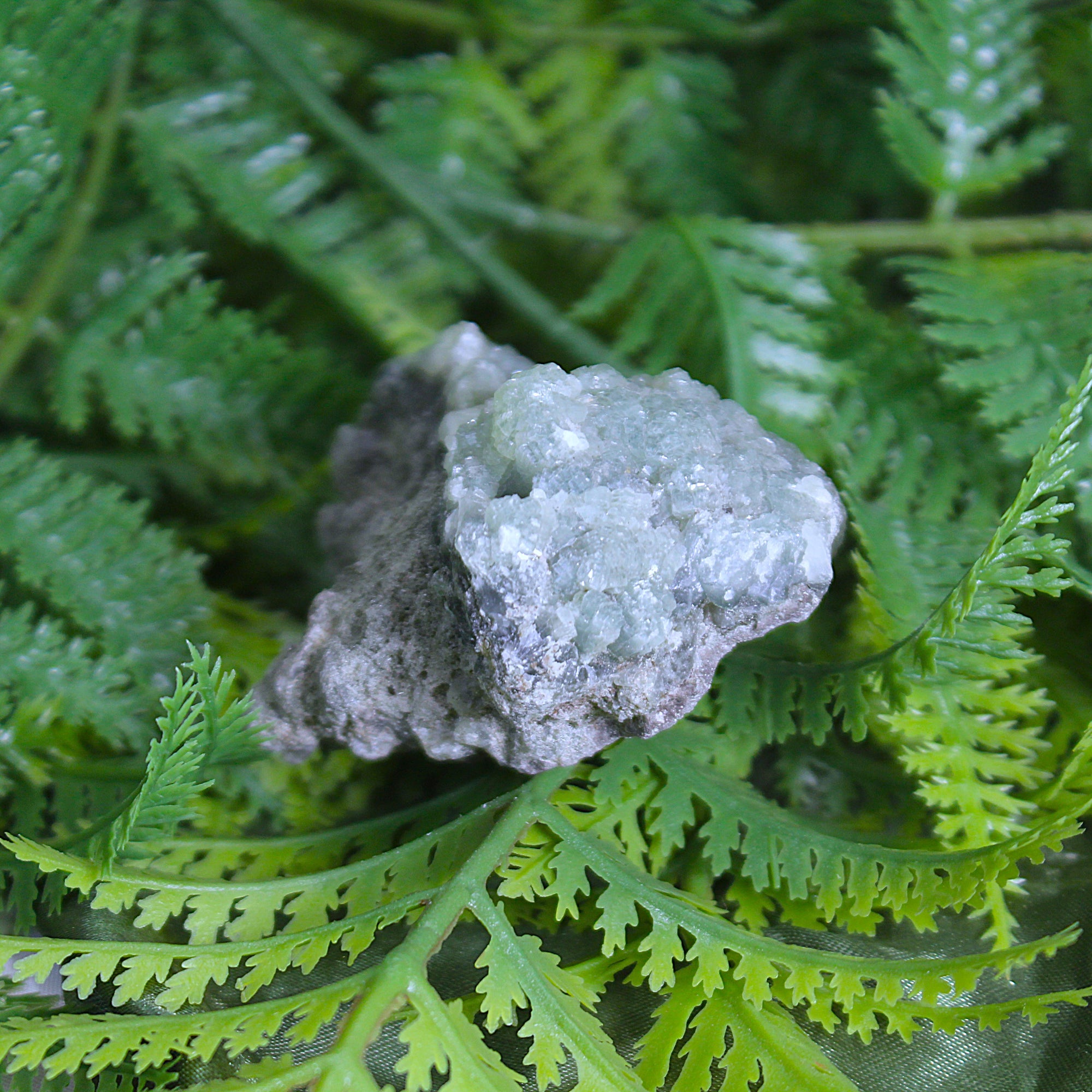 Raw Prehnite with Epidote