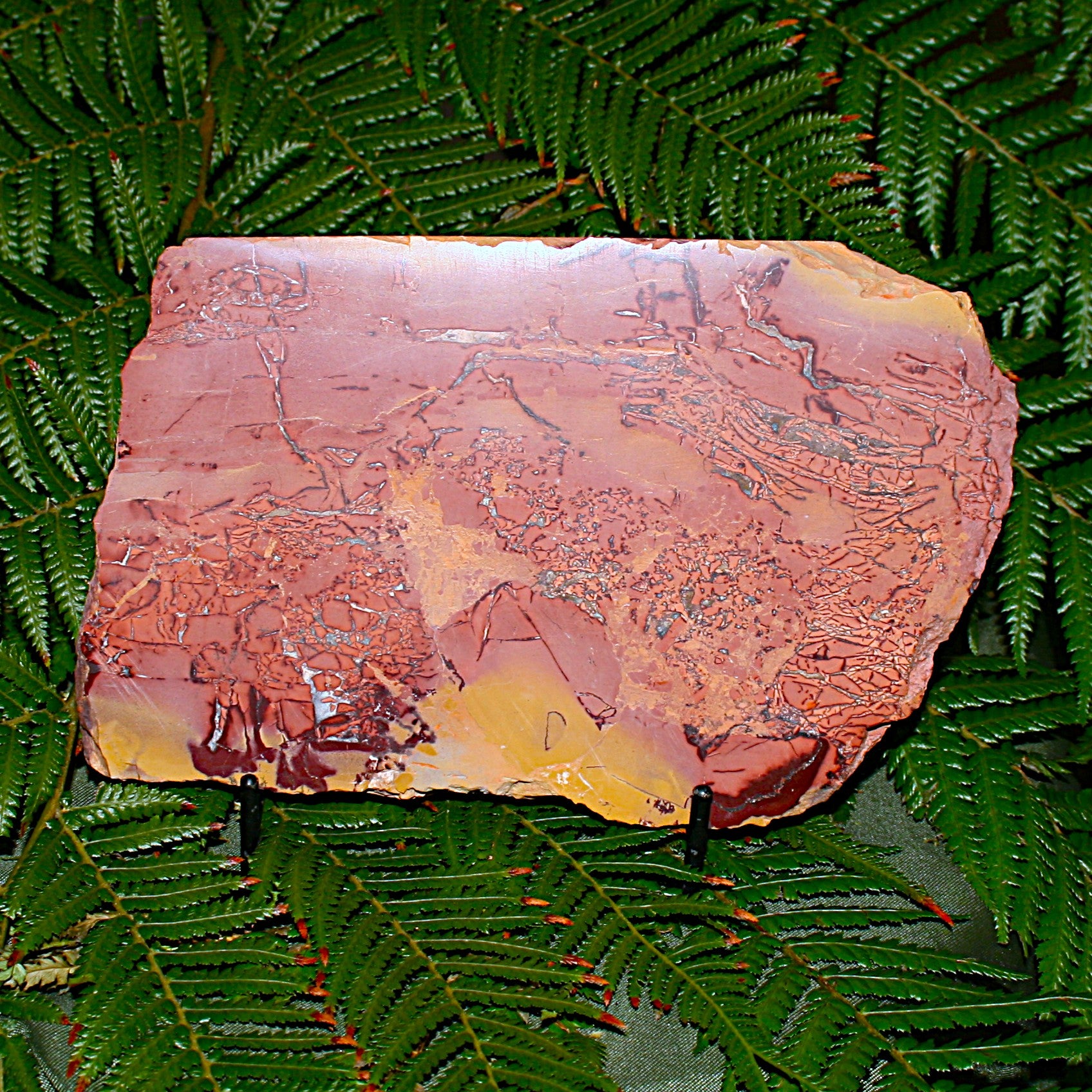 Picture Jasper Slab