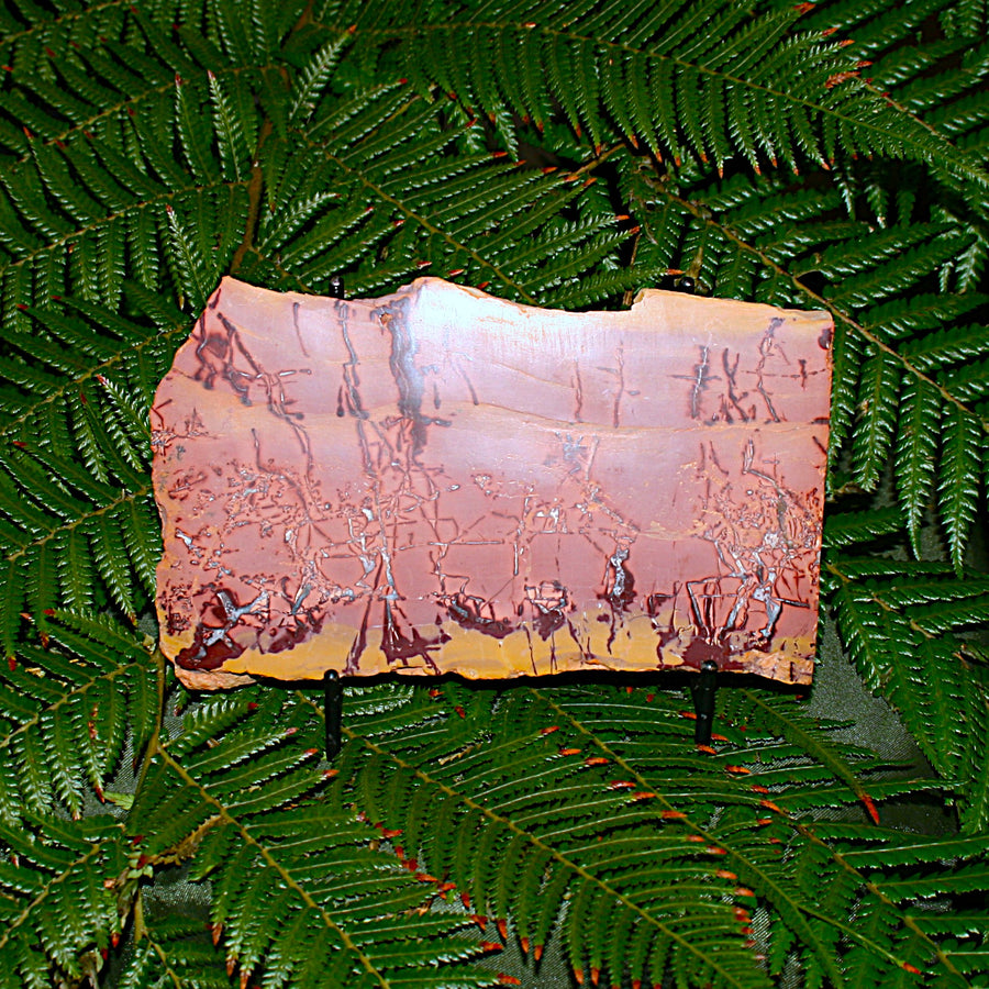 Picture Jasper Slab