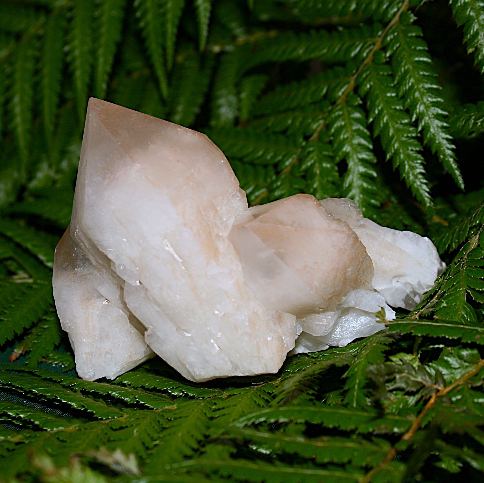 Pineapple Quartz Point