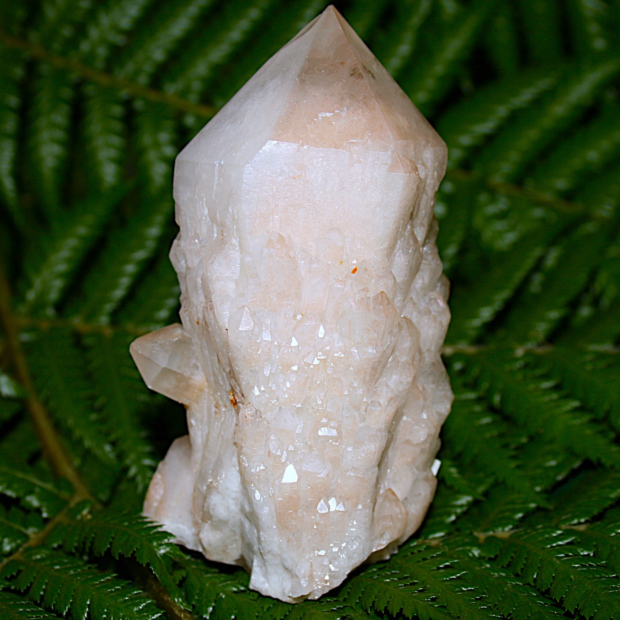 Pineapple Quartz Point