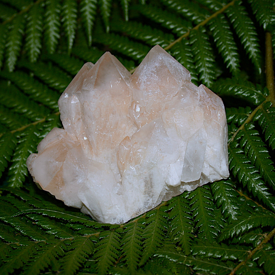 Pineapple Quartz Point