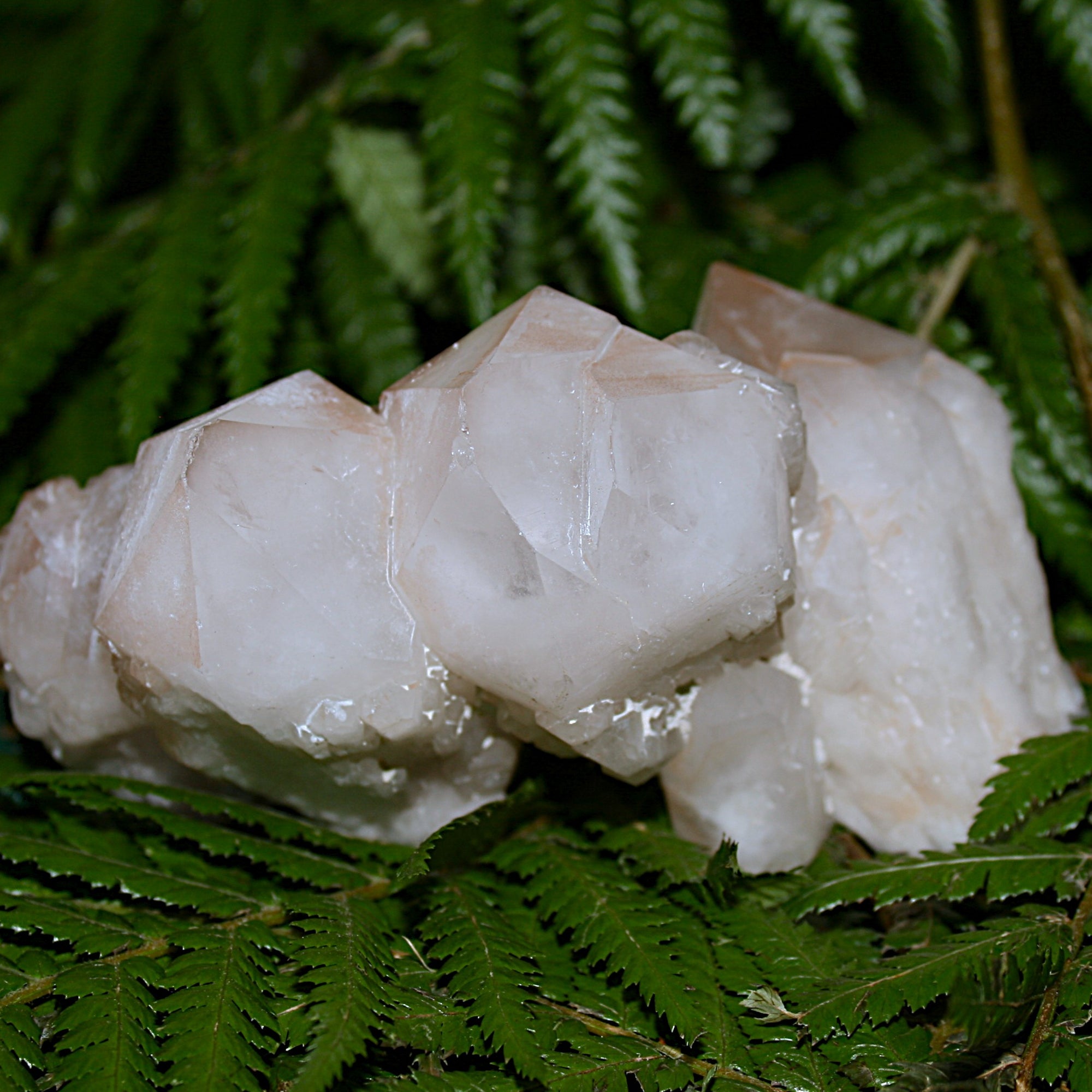 Pineapple Quartz Point