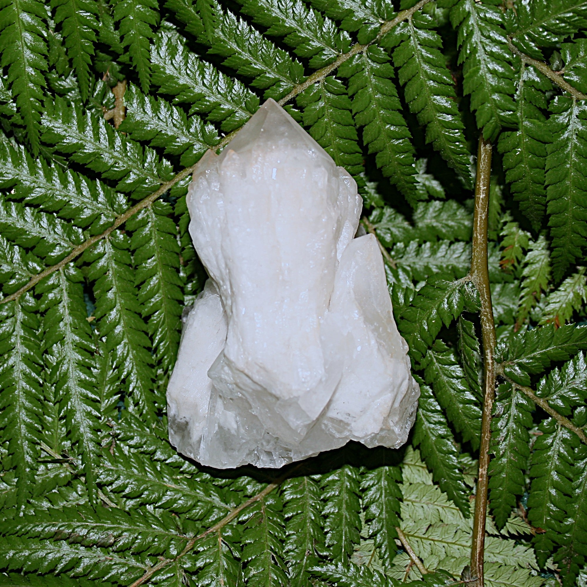 Pineapple Quartz Point
