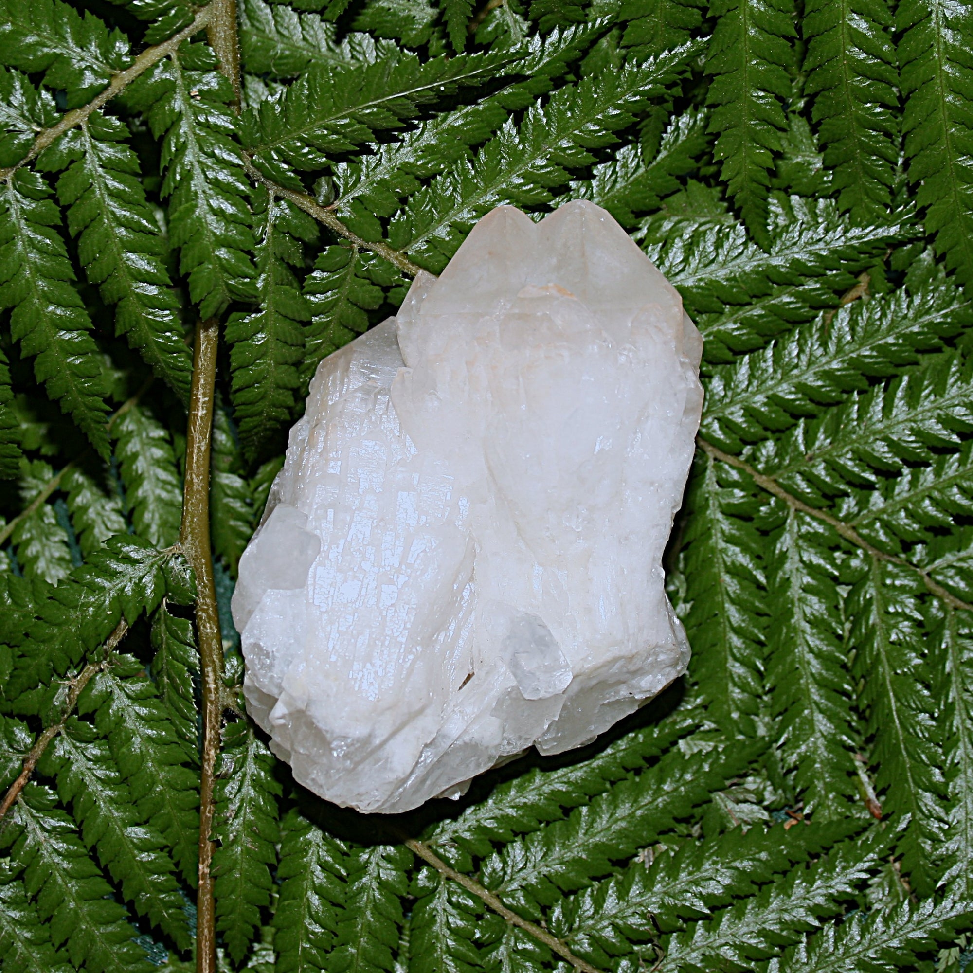 Pineapple Quartz Point