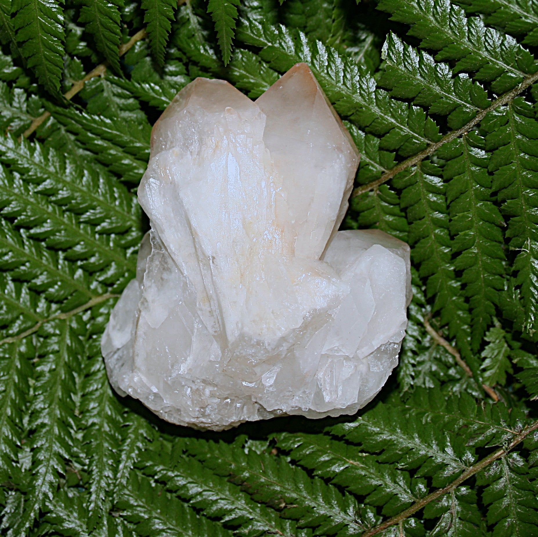 Pineapple Quartz Point