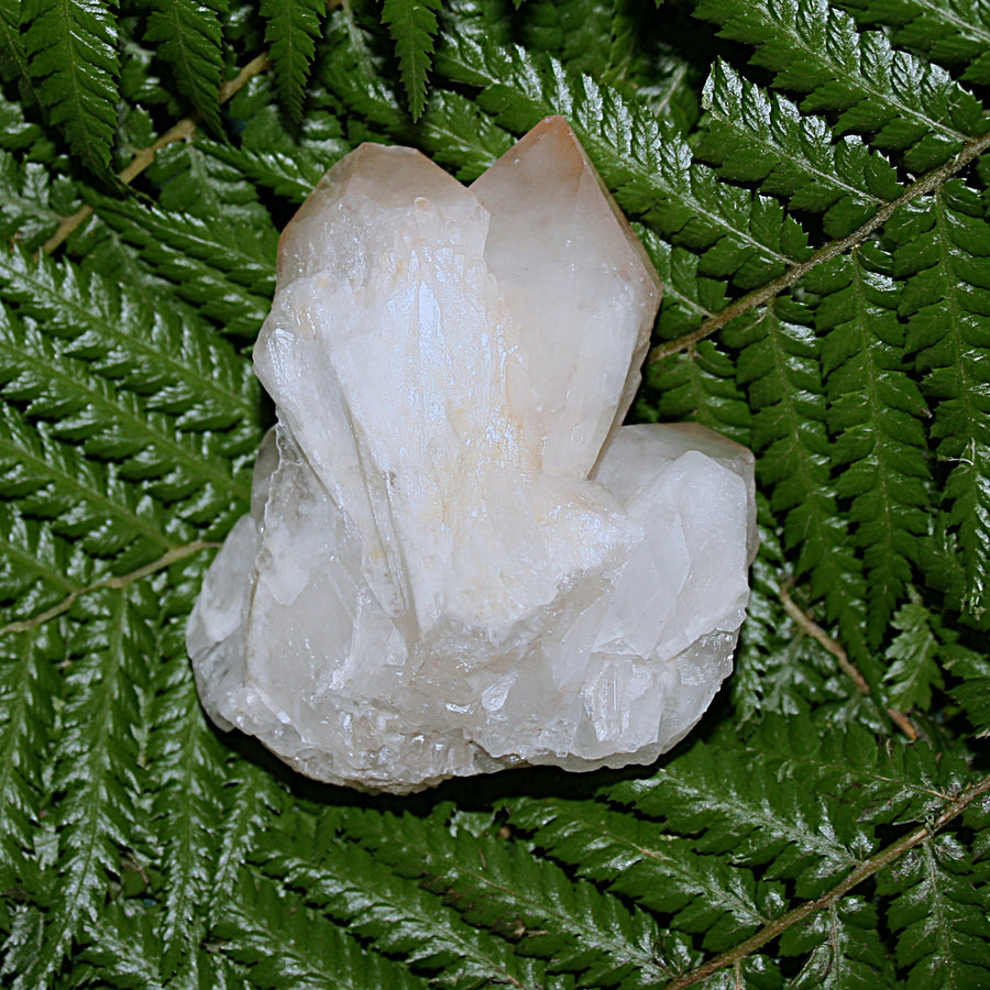 Pineapple Quartz Point