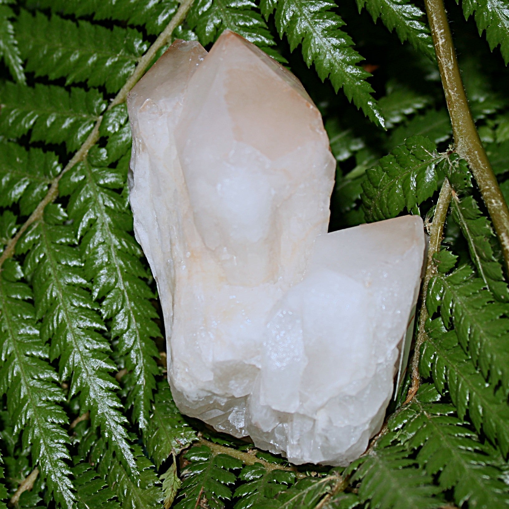 Pineapple Quartz Point