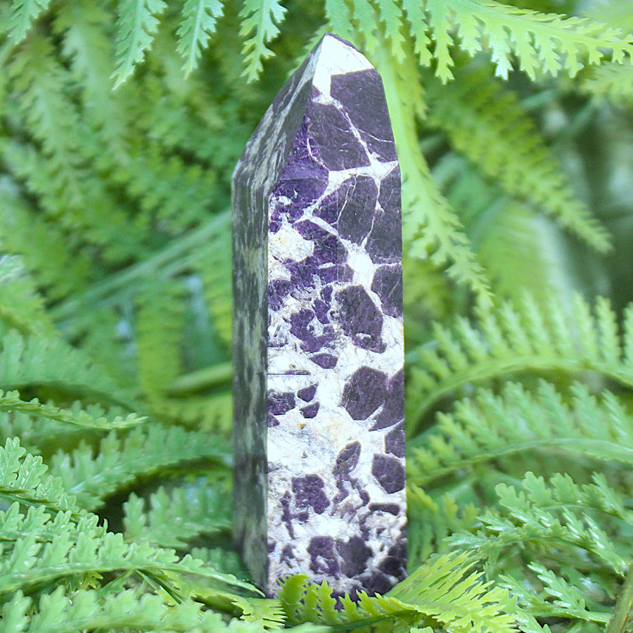 Purpurite Tower