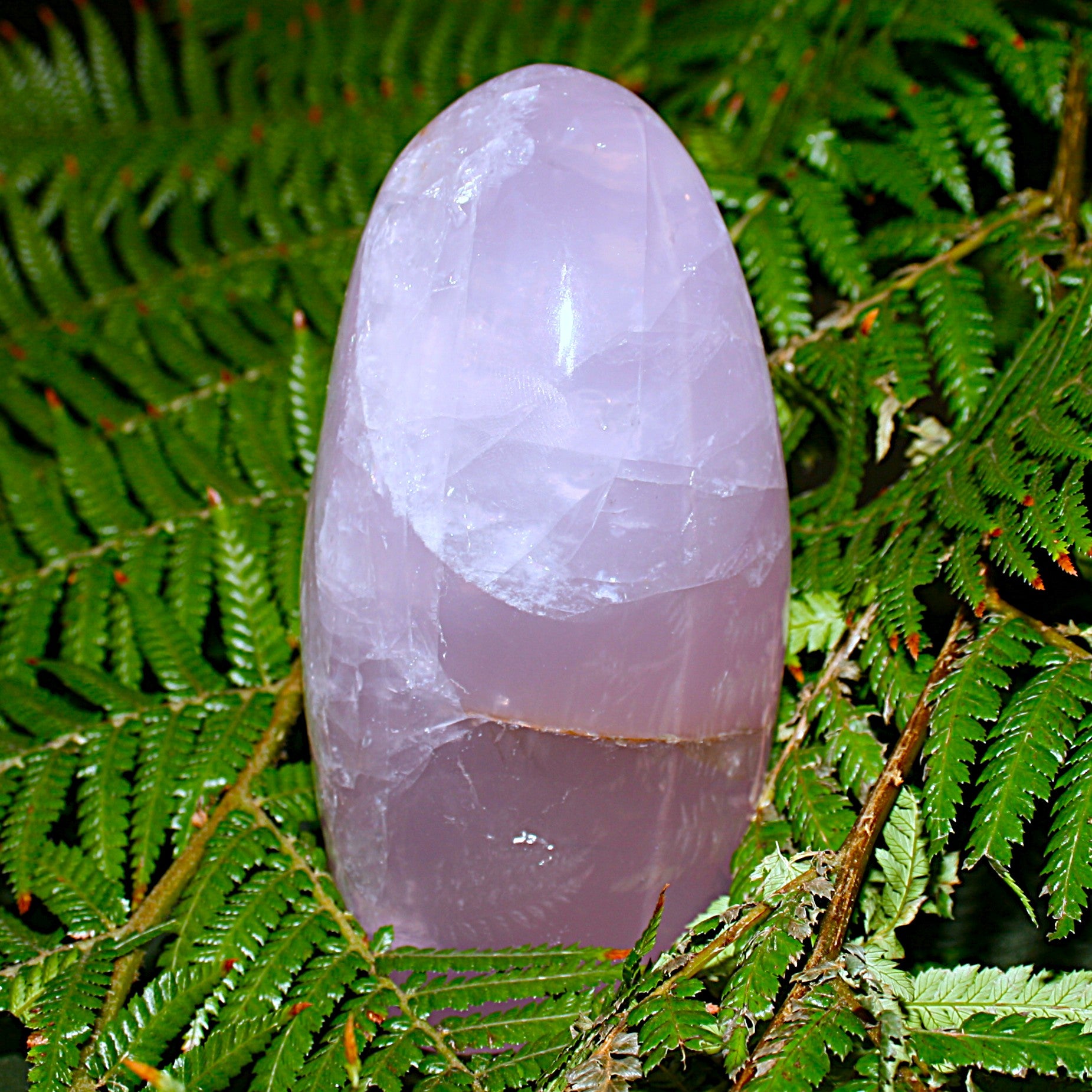 AAA Rose Quartz Freeform