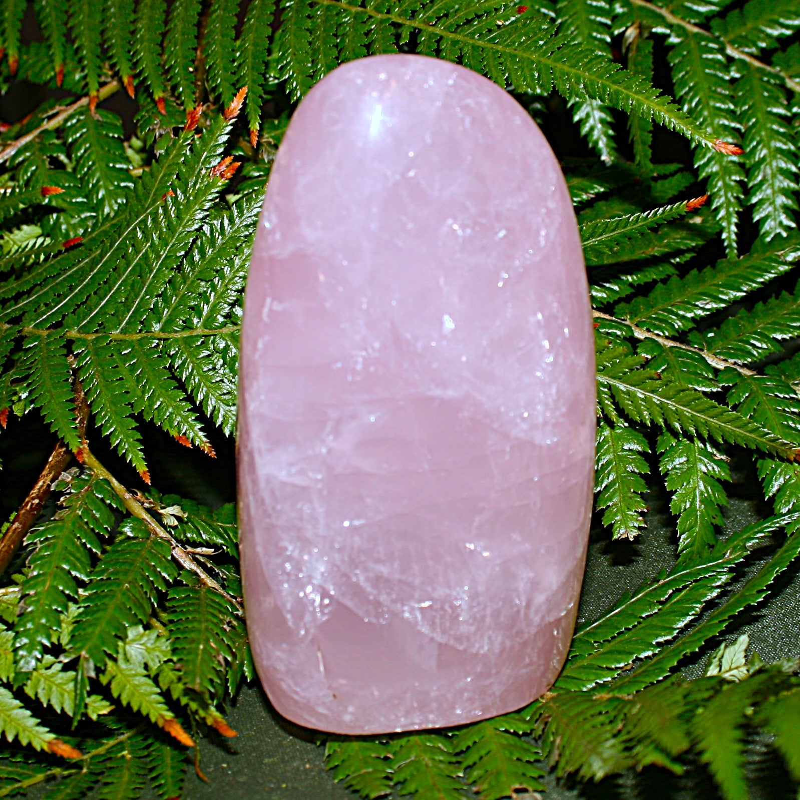 Rose Quartz Freeform