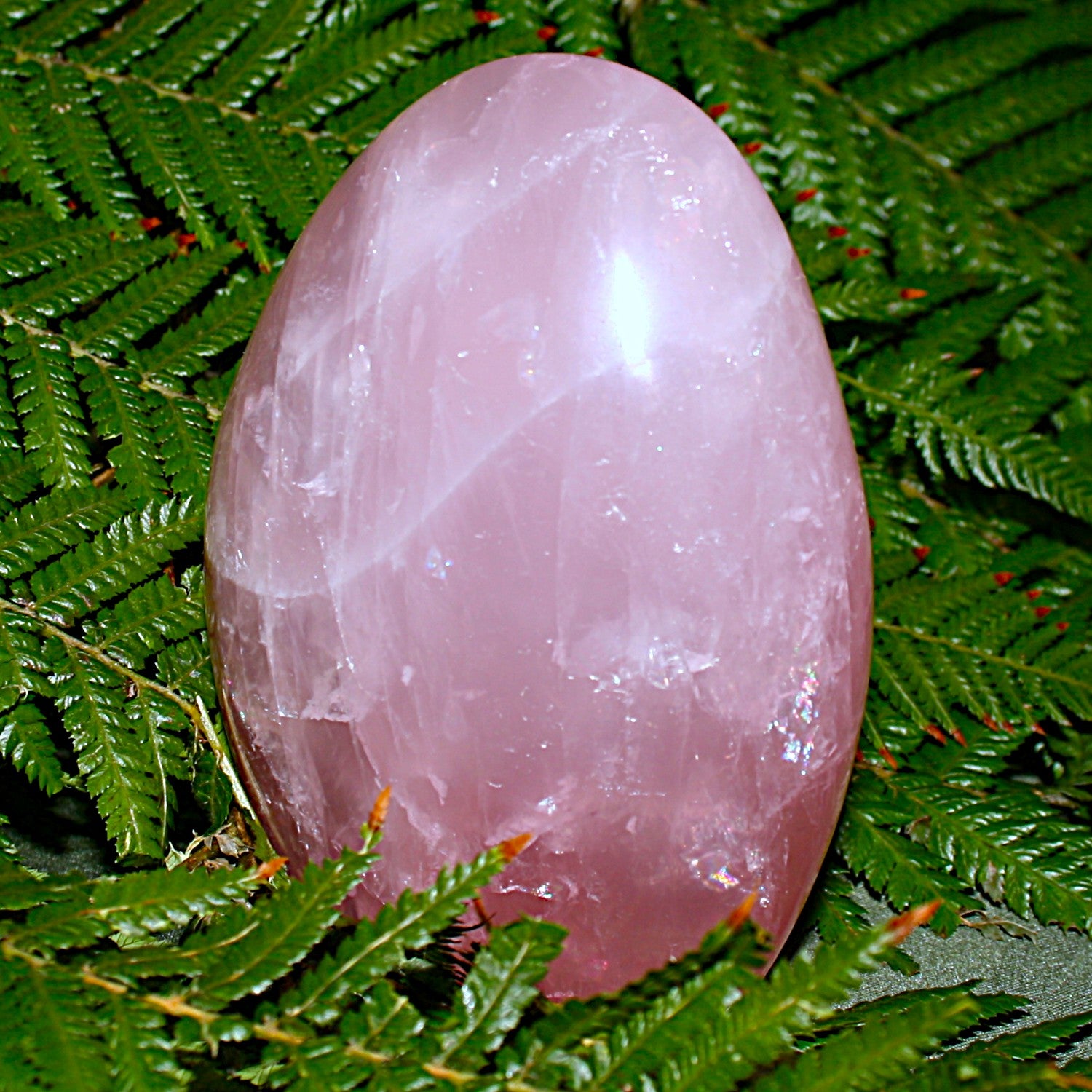 AAA Rose Quartz Freeform