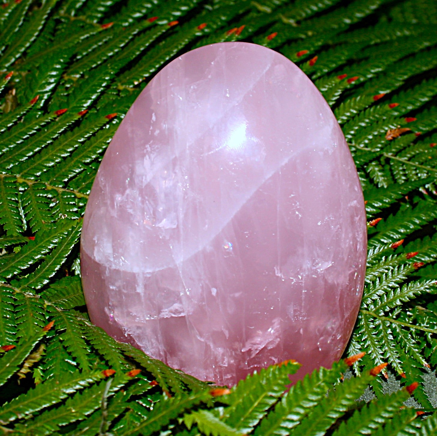 AAA Rose Quartz Freeform