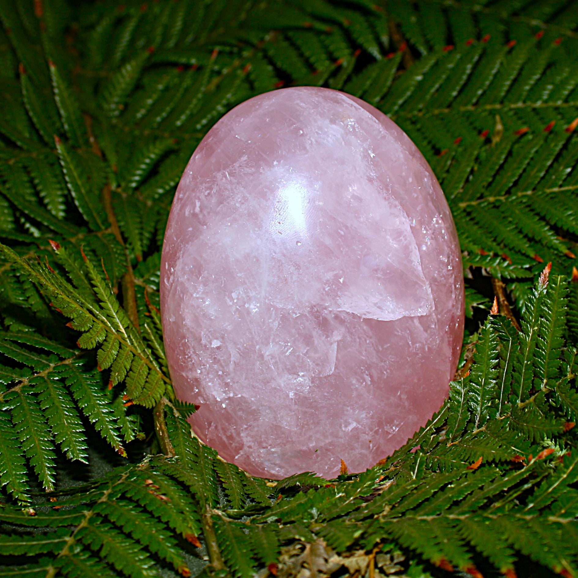 AAA Rose Quartz Freeform