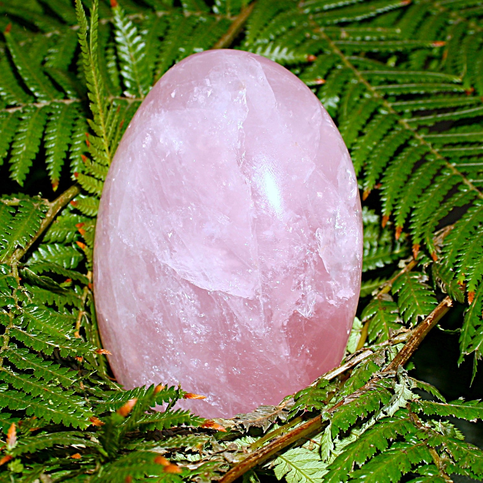 AAA Rose Quartz Freeform