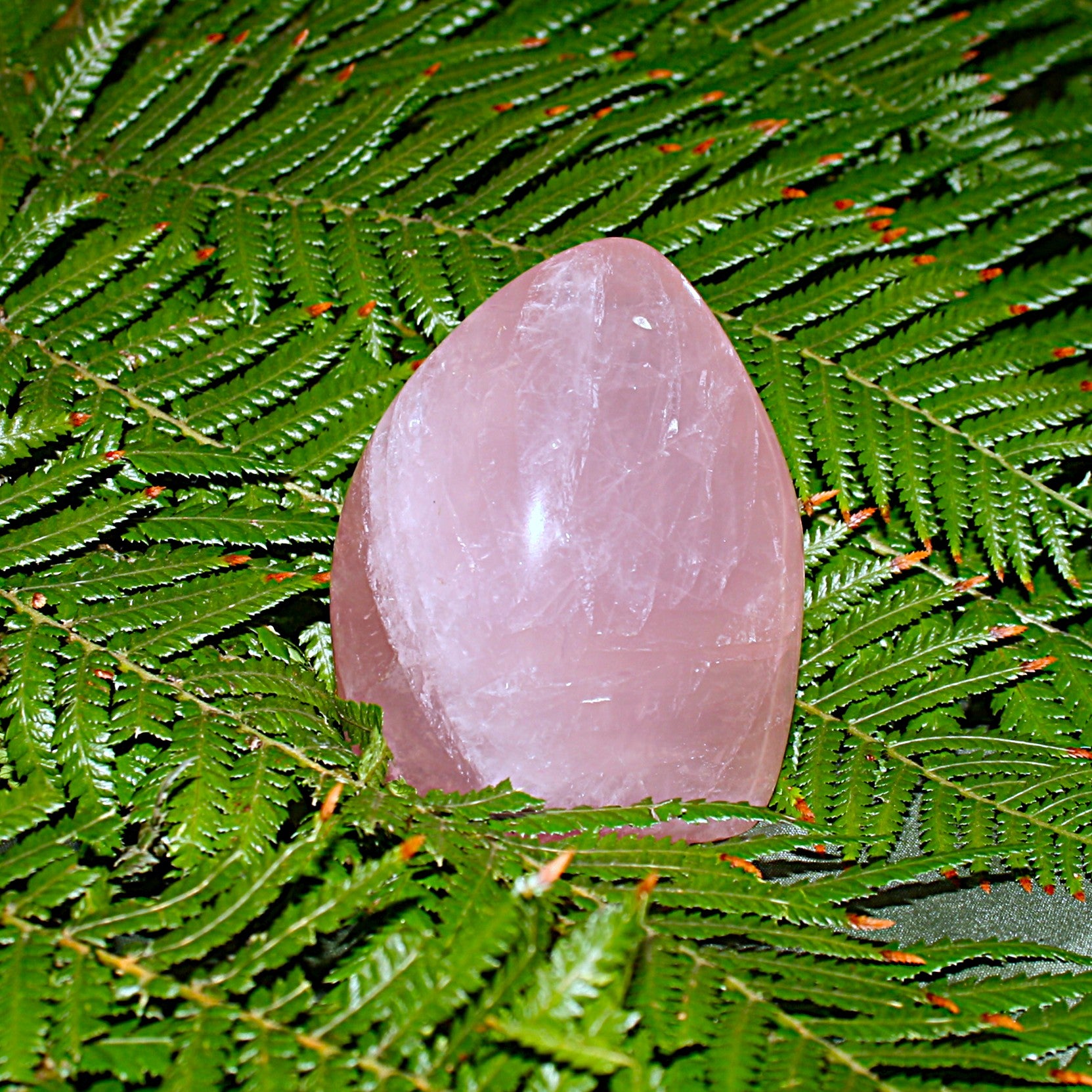 Rose Quartz Freeform