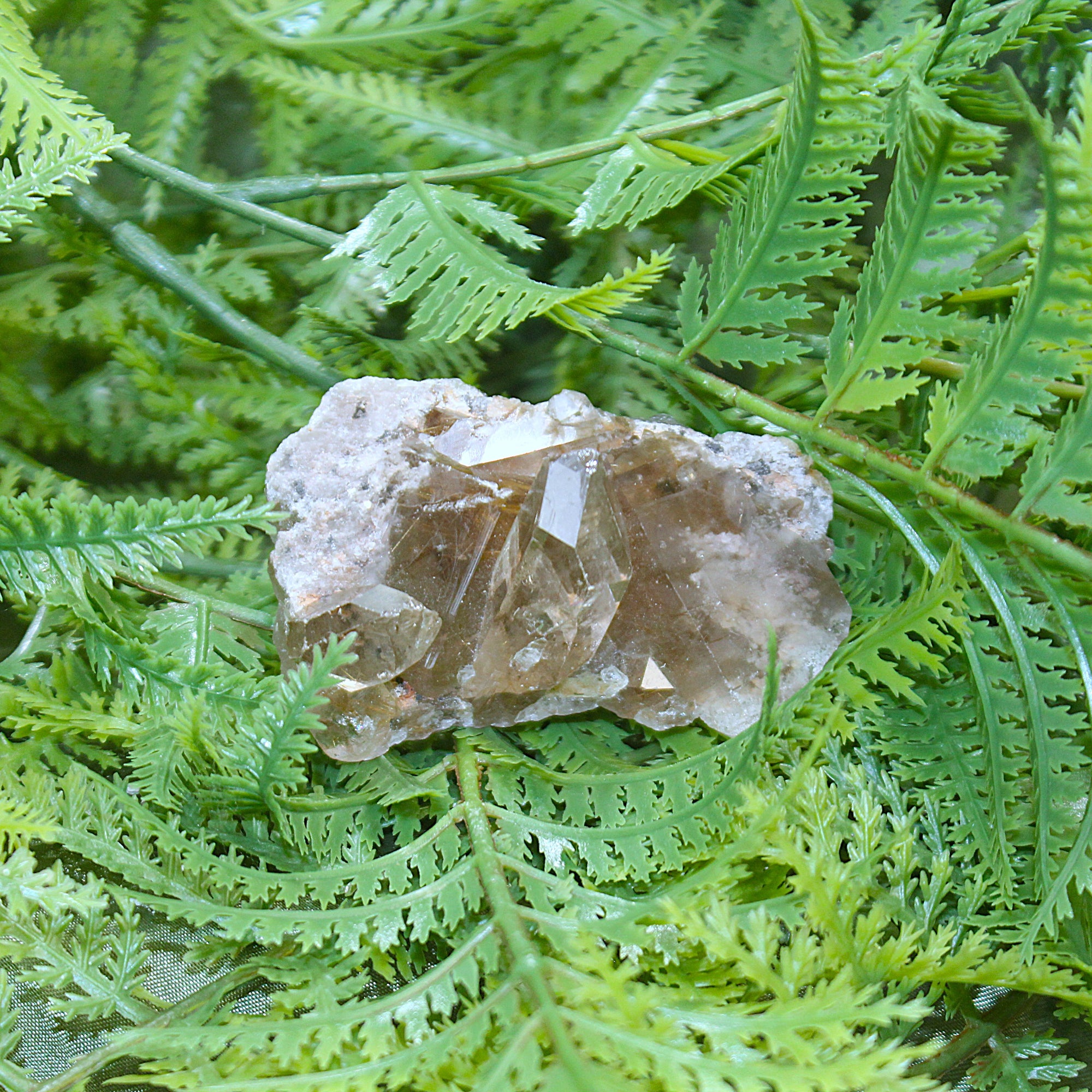 Rutilated Smokey Quartz