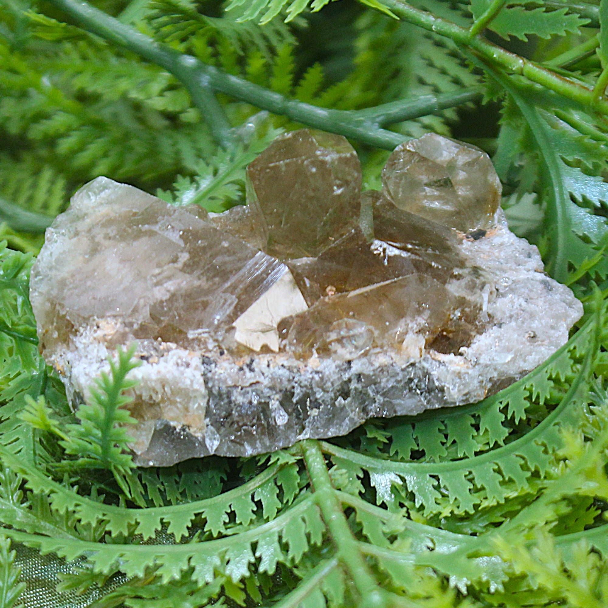 Rutilated Smokey Quartz