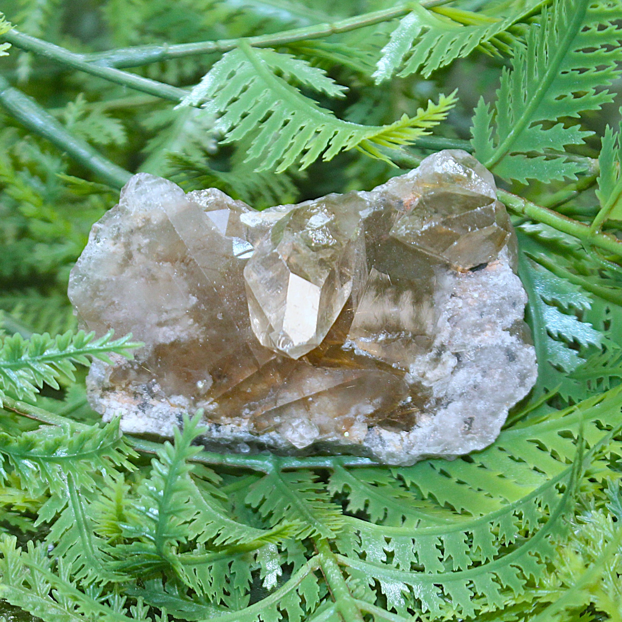 Rutilated Smokey Quartz