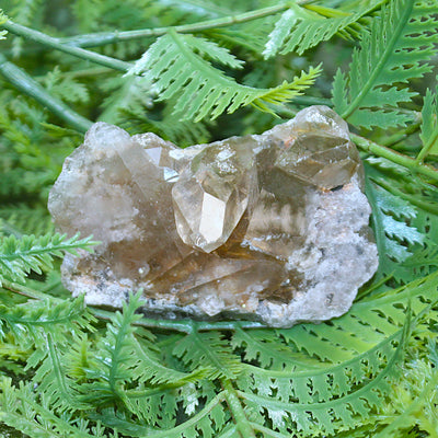 Rutilated Smokey Quartz