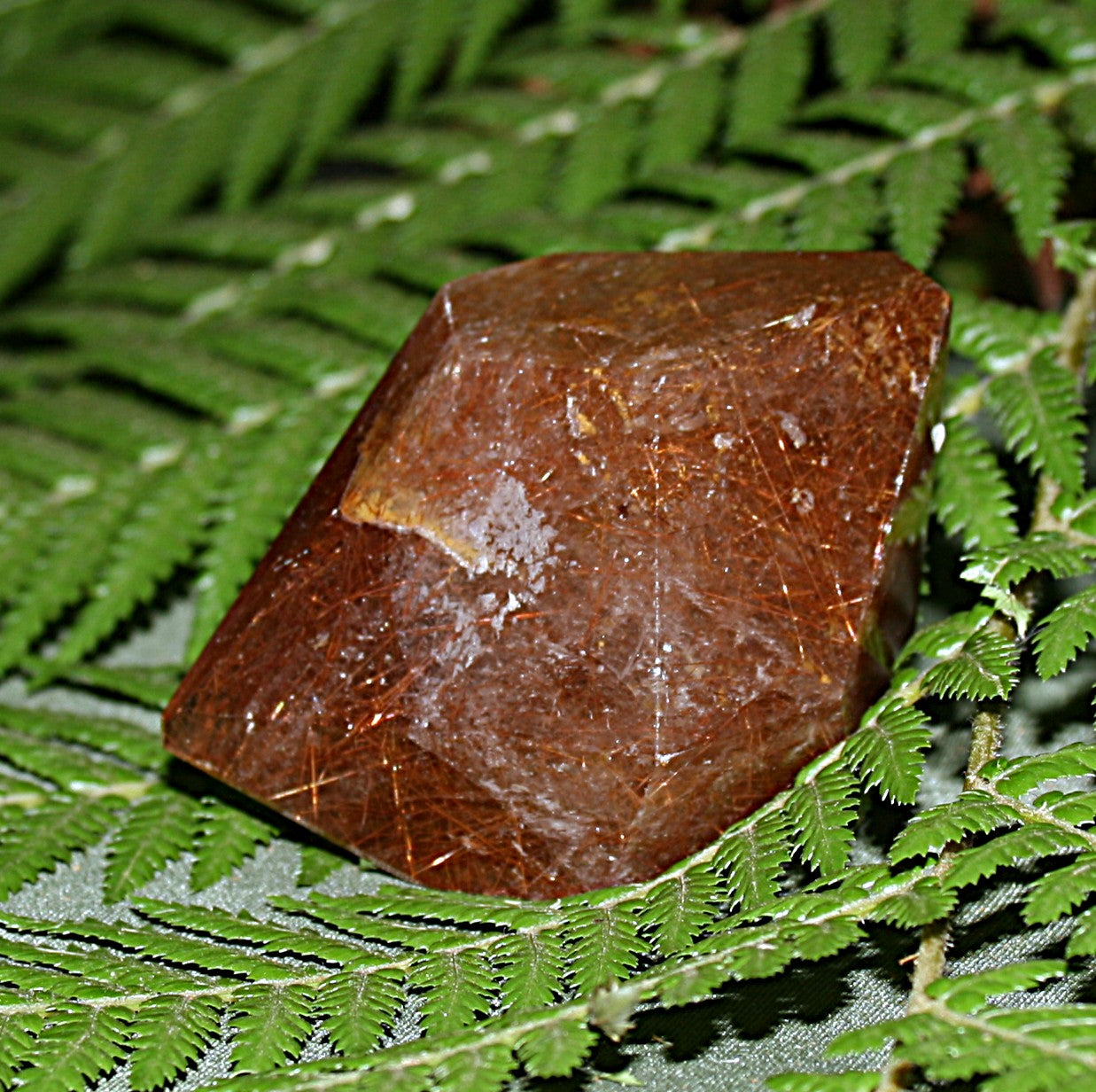 Rutilated Quartz