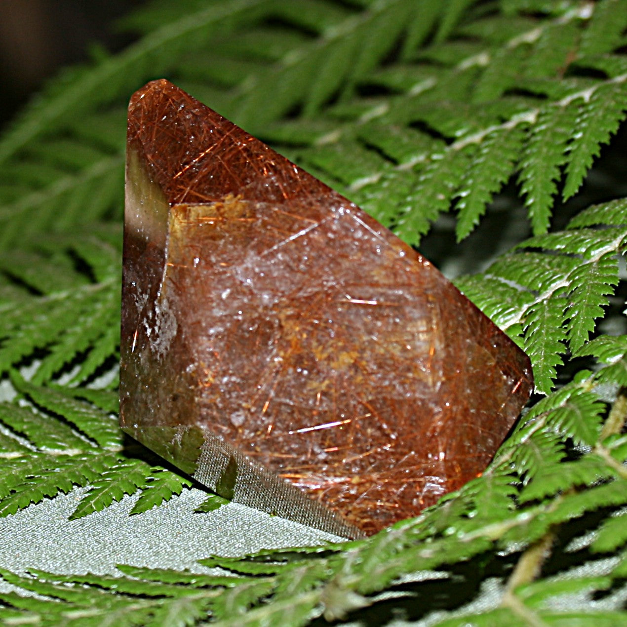 Rutilated Quartz