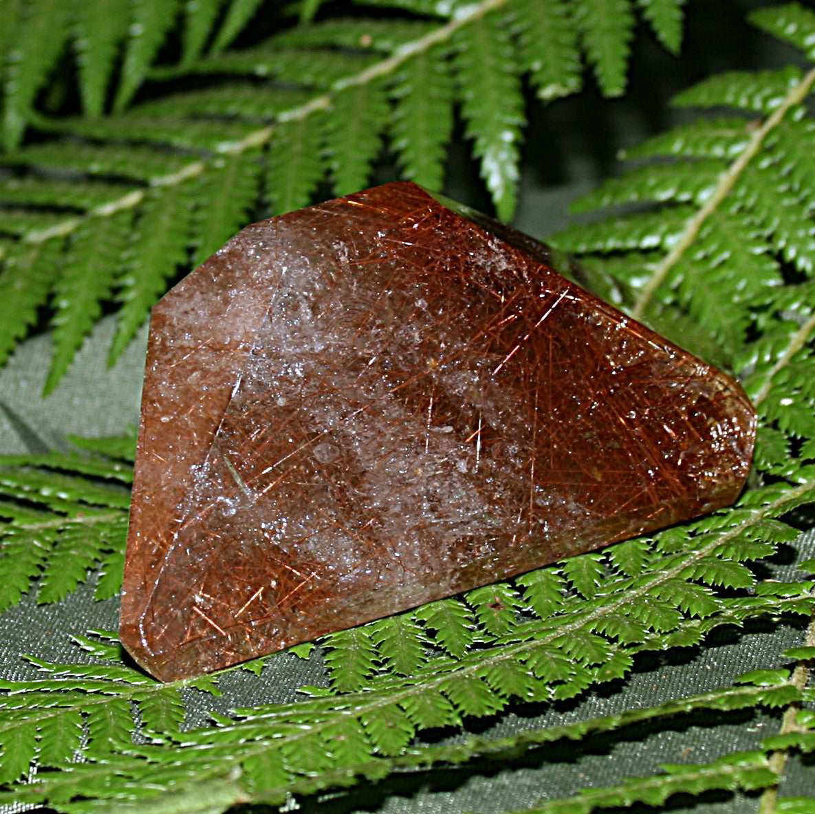 Rutilated Quartz